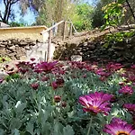 Casa Espina